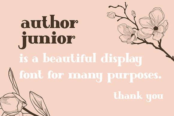 Author Junior in Display Fonts - product preview 7