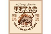 Texas Western Style Design, Longhorn
