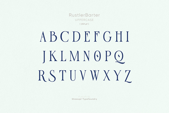 Rustler Barter Font in Display Fonts - product preview 8