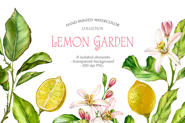 Lemon Garden Watercolor Fruits Set