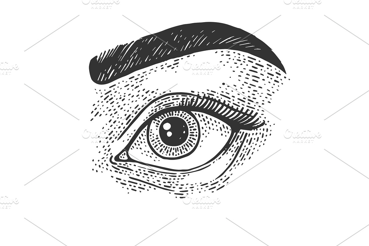 Beauty woman eye sketch vector in Illustrations - product preview 8