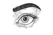 Beauty woman eye sketch vector