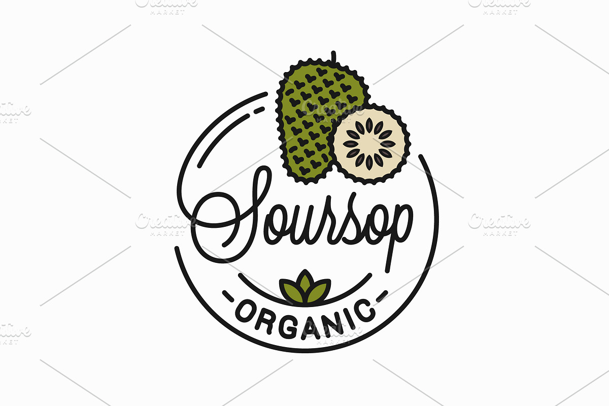 Soursop fruit logo. Round linear. in Illustrations - product preview 8