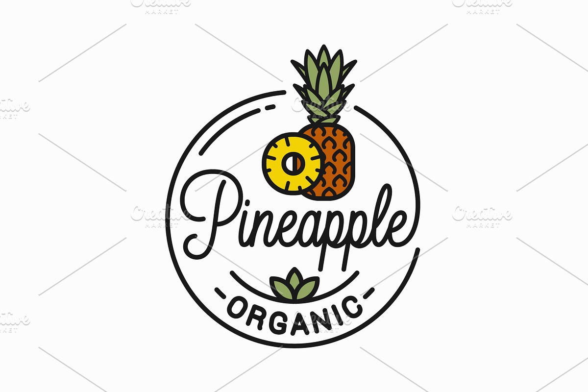 Pineapple fruit logo. Round linear. in Illustrations - product preview 8