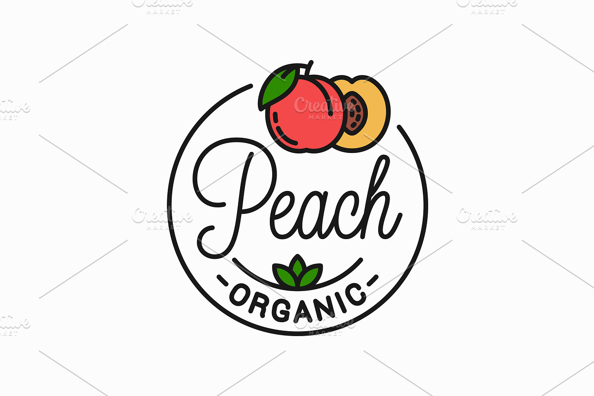 Peach fruit logo. Round linear logo. in Illustrations - product preview 8