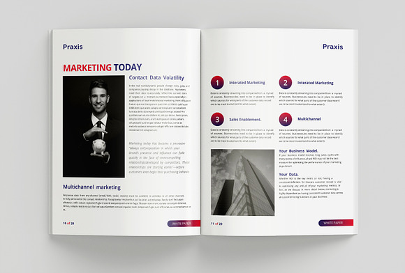 White Paper Template in Brochure Templates - product preview 3