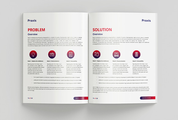 White Paper Template in Brochure Templates - product preview 6