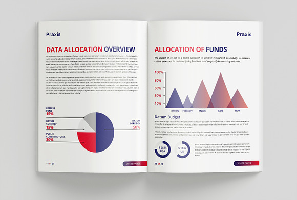 White Paper Template in Brochure Templates - product preview 7