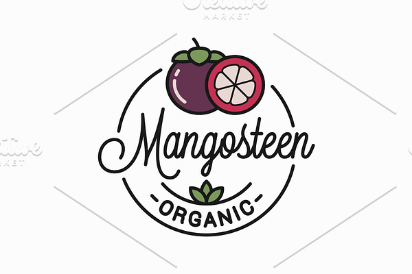 Mangosteen fruit logo. Round linear.