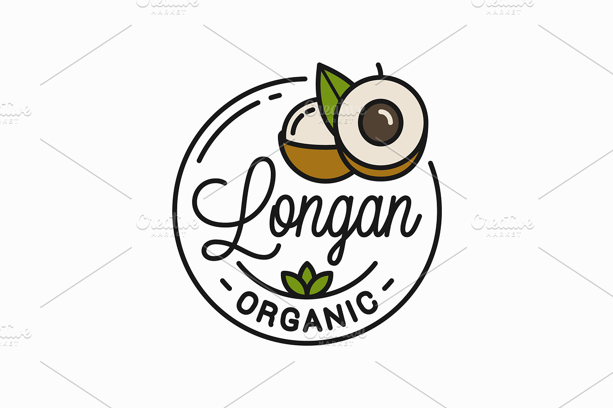 Longan fruit logo. Round linear logo in Illustrations - product preview 8