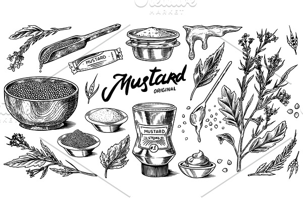 Mustard seeds and plant set