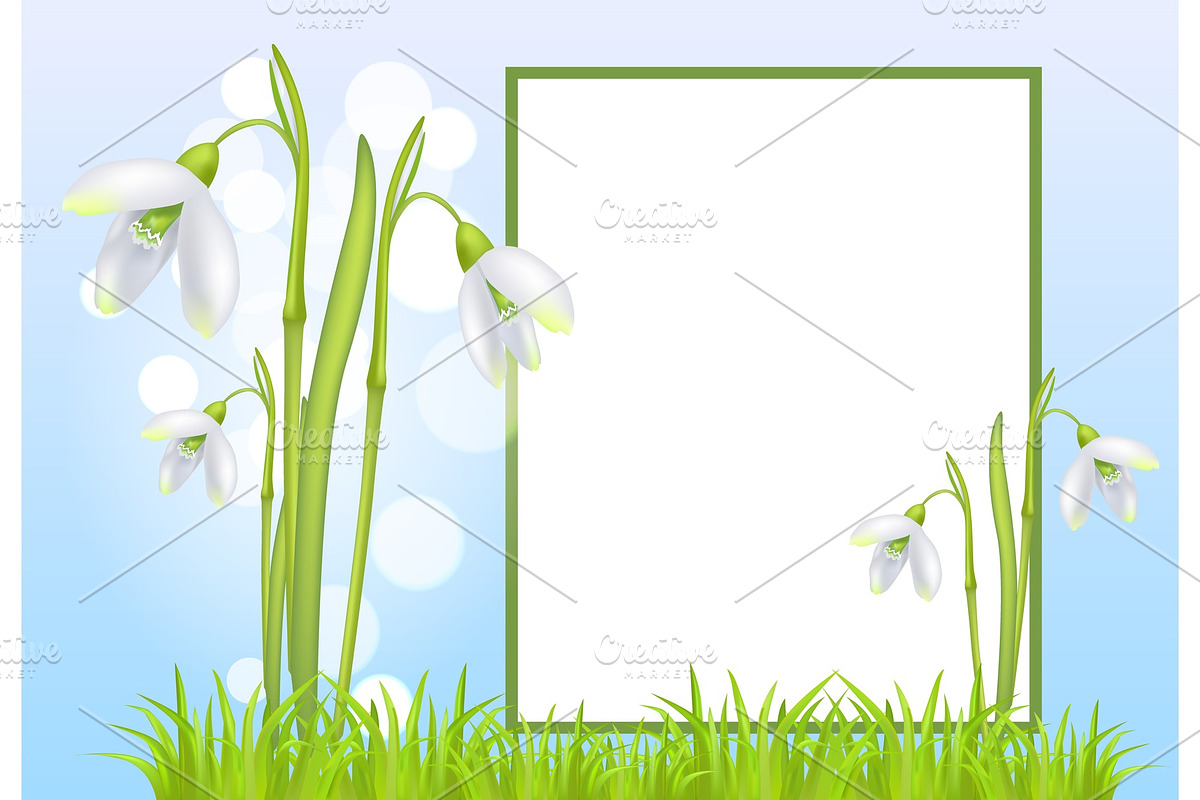 Frame for Text and Snowdrop in Illustrations - product preview 8