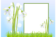 Frame for Text and Snowdrop