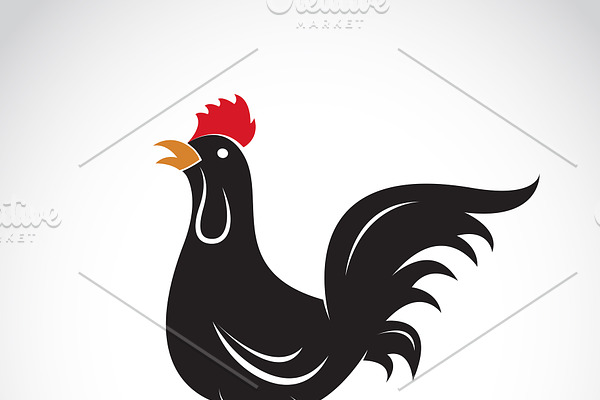 Vector of chicken design. Animal.