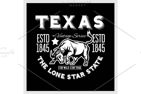Texas - vintage typography with a