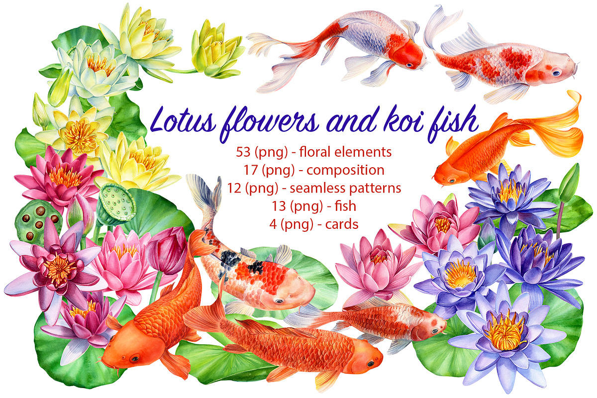 Lotus flowers and koi fish in Illustrations - product preview 8