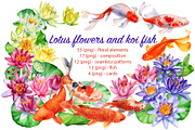 Lotus flowers and koi fish