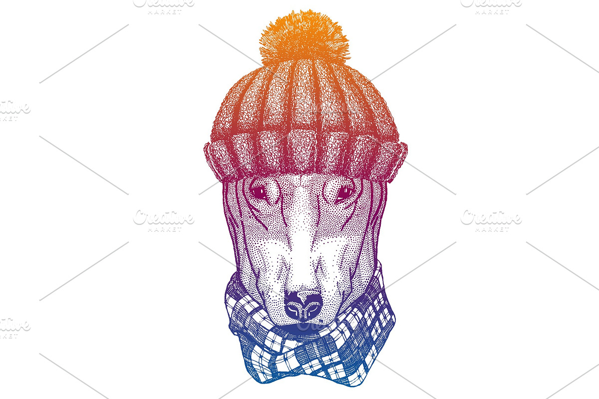 Dog. Skier woolen christmas knitted in Illustrations - product preview 8