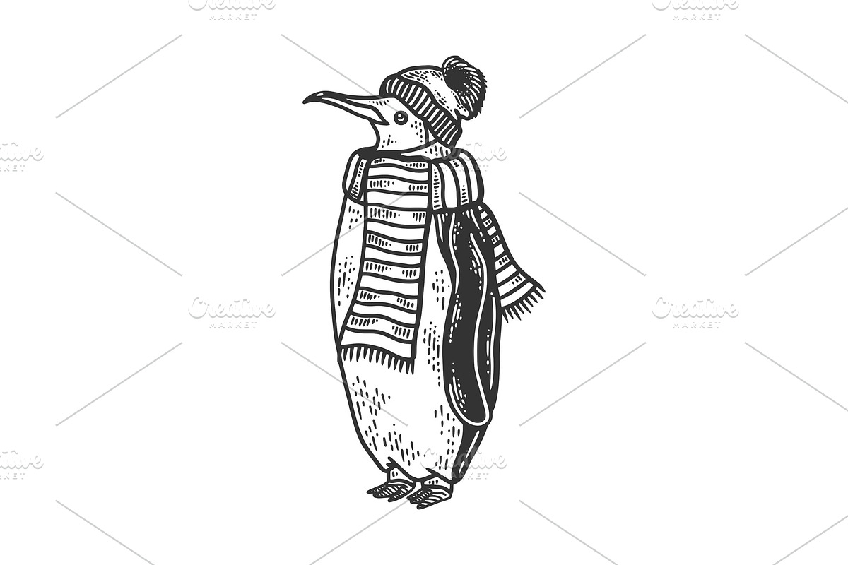 Penguin in scarf and hat sketch in Illustrations - product preview 8