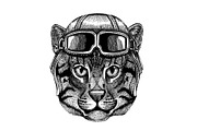 Cat. Animal with aviator helmet and