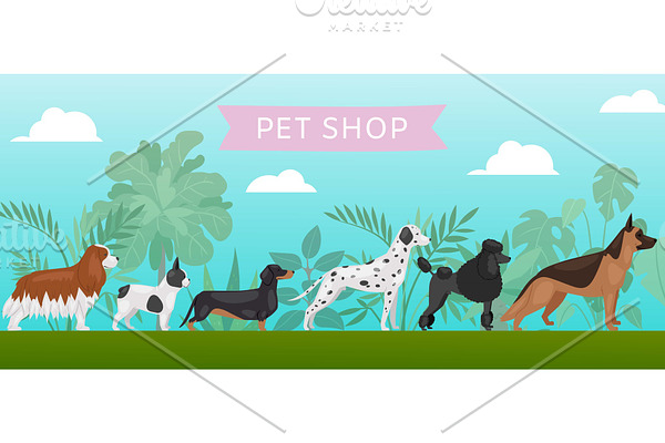 Pet shop banner with different dogs