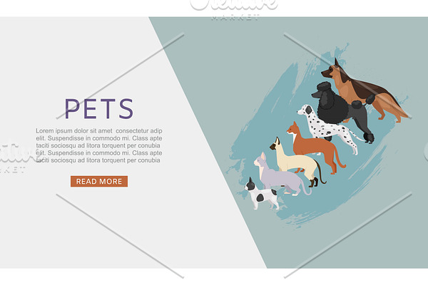 Pets shop web banner with different
