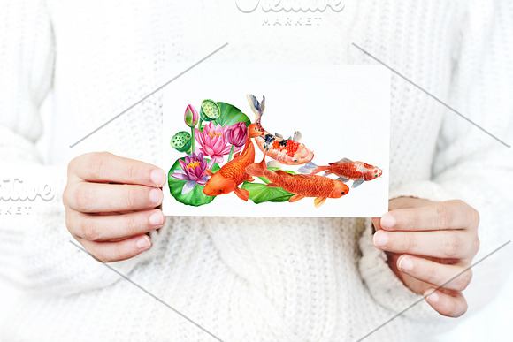 Lotus flowers and koi fish in Illustrations - product preview 4