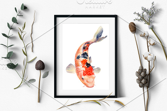 Lotus flowers and koi fish in Illustrations - product preview 11