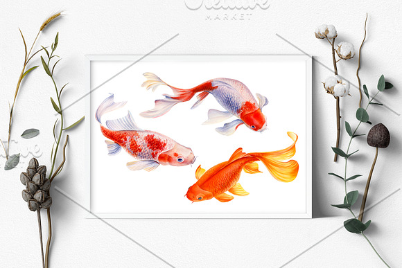 Lotus flowers and koi fish in Illustrations - product preview 12
