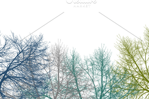 Multicolor Graphic Silhouette Botani