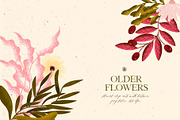 Older Flowers