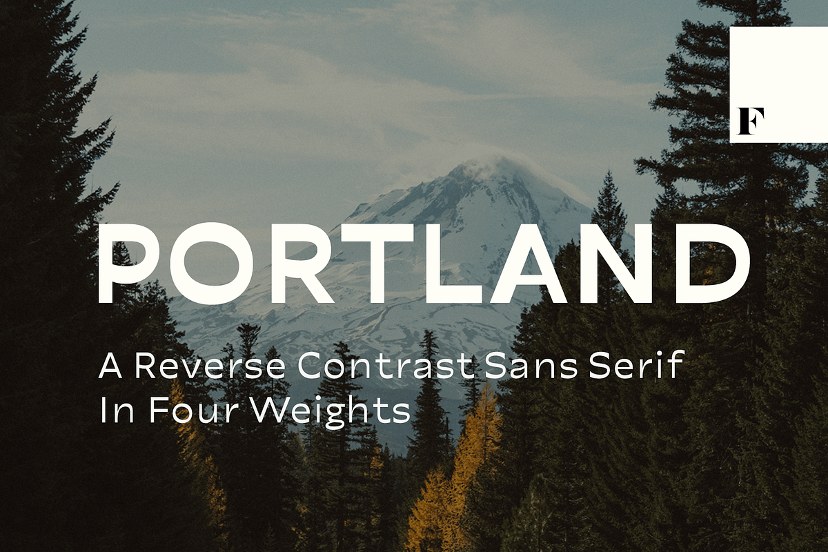 Portland Sans Serif in Sans-Serif Fonts - product preview 8