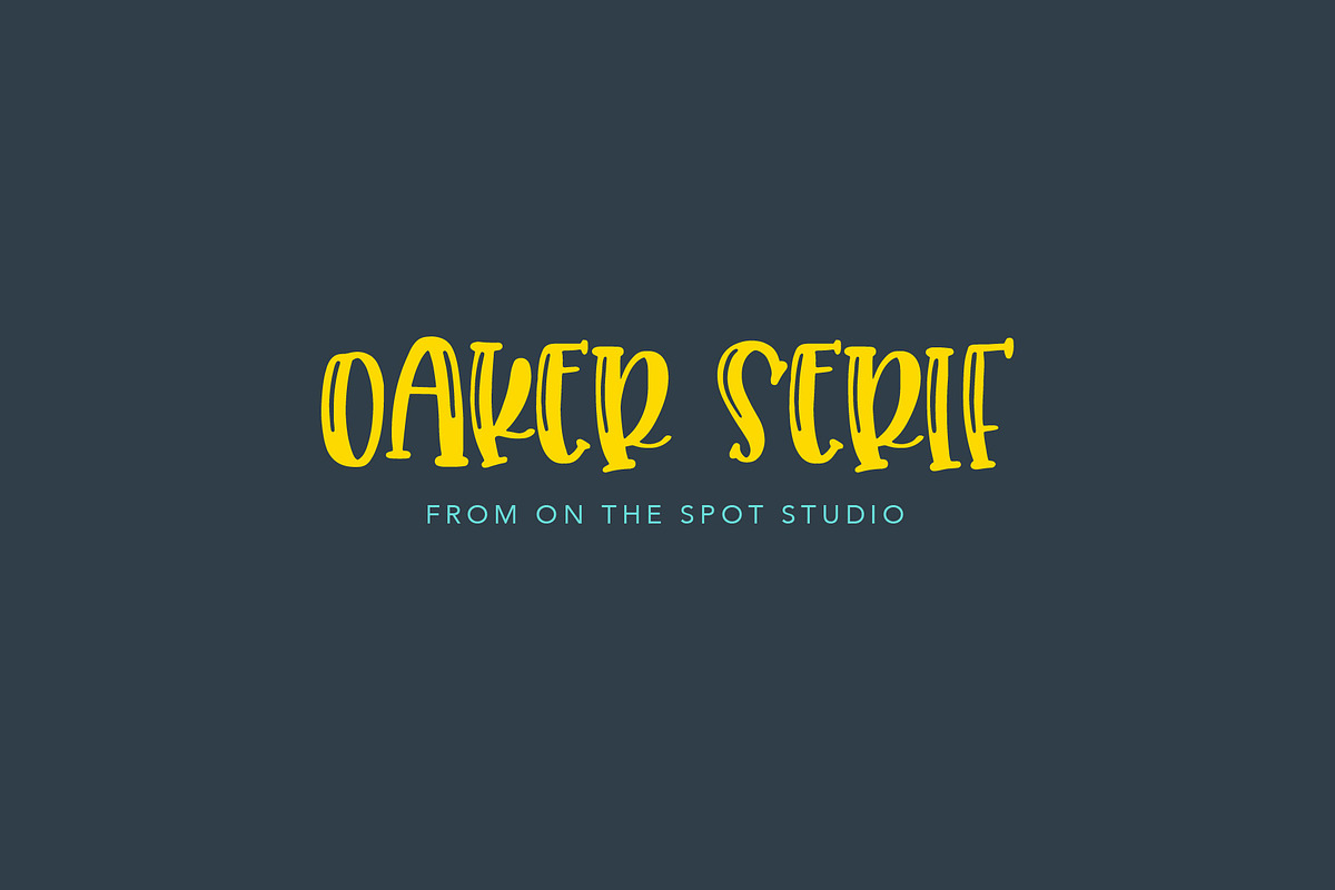 Oaker Serif in Display Fonts - product preview 8