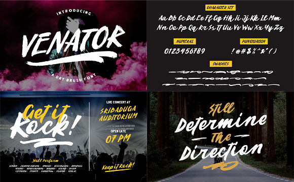 ⚡️BRUSH FONTS COLLECTIONS⚡️ in Blackletter Fonts - product preview 13