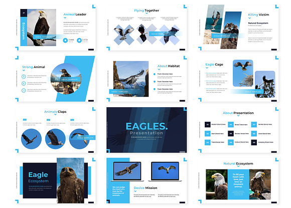 Eagles - Google Slide Template in Google Slides Templates - product preview 1