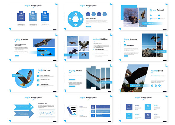 Eagles - Google Slide Template in Google Slides Templates - product preview 2