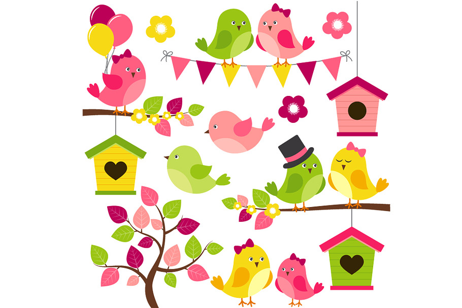Summer Birds in Illustrations - product preview 8