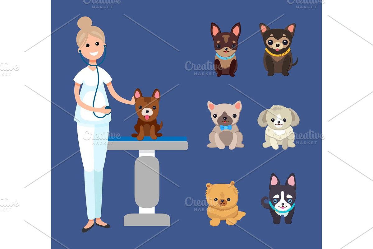 Veterinarian Service, Pets Clinic in Illustrations - product preview 8