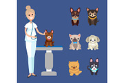 Veterinarian Service, Pets Clinic