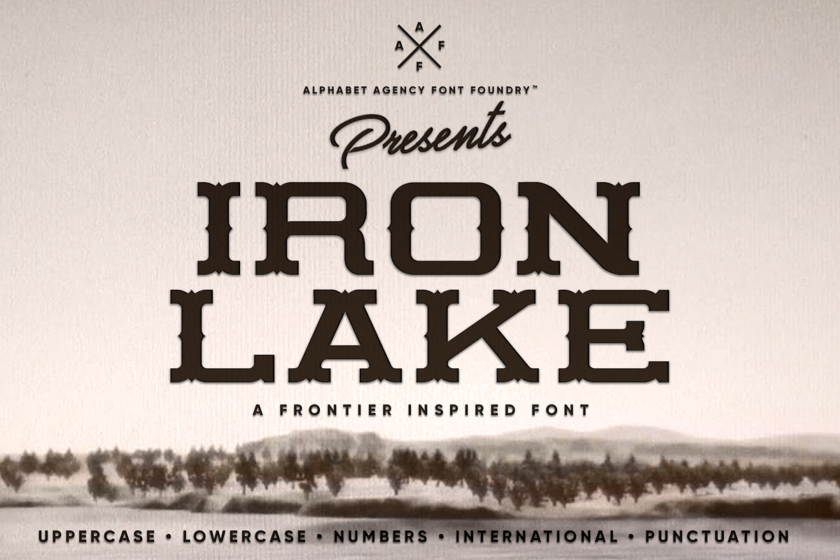 IRON LAKE FONT DUO in Slab Serif Fonts - product preview 8