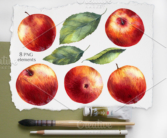 Apple Watercolor clipart in Illustrations - product preview 2