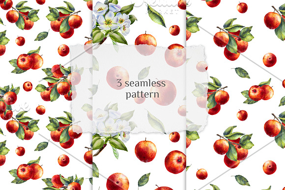 Apple Watercolor clipart in Illustrations - product preview 3