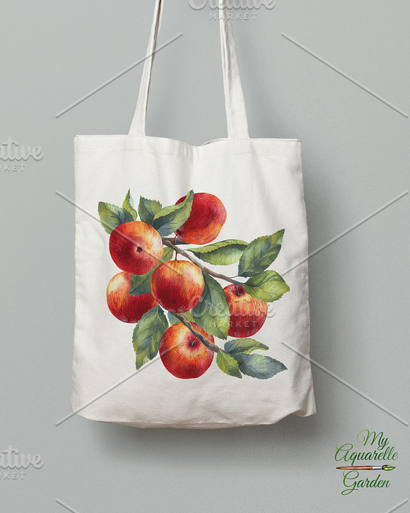 Apple Watercolor clipart in Illustrations - product preview 4
