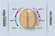 Business Brain Timeline Infographic