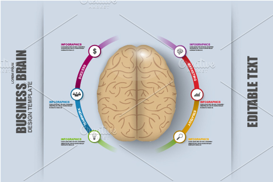 Business Brain Timeline Infographic in Presentation Templates - product preview 8