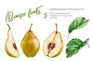 Quince Fruit Watercolor Set