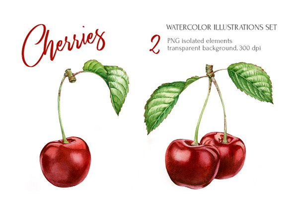 Cherry Branch Watercolor Set