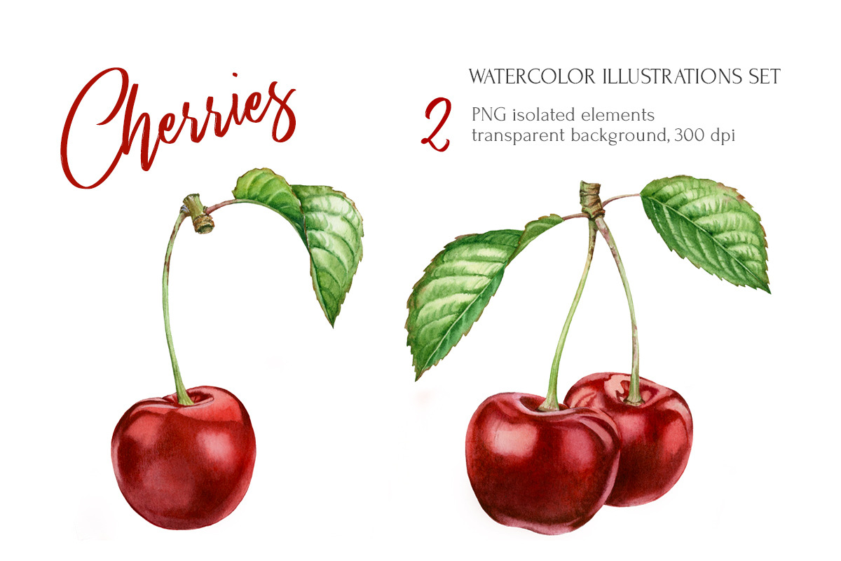 Cherry Branch Watercolor Set in Illustrations - product preview 8
