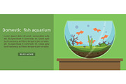 Domestic fish aquarium with golden