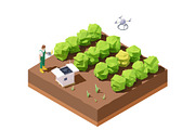 Vector isometric agricultural drone